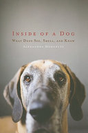 Inside_of_a_dog
